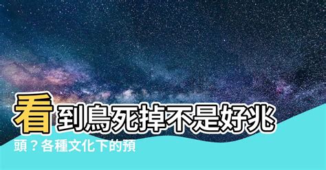 一直看到死掉的鳥|9個不祥徵兆，看到它代表你快死了... 